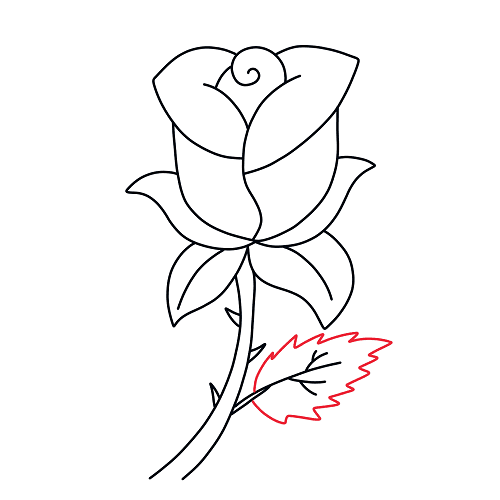 Cách vẽ hoa hồng - Dạy Vẽ