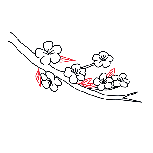 Cách vẽ hoa đào - Dạy Vẽ