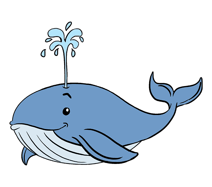 Chi tiết hơn 55 về hình nền cá voi cute mới nhất - cdgdbentre.edu.vn