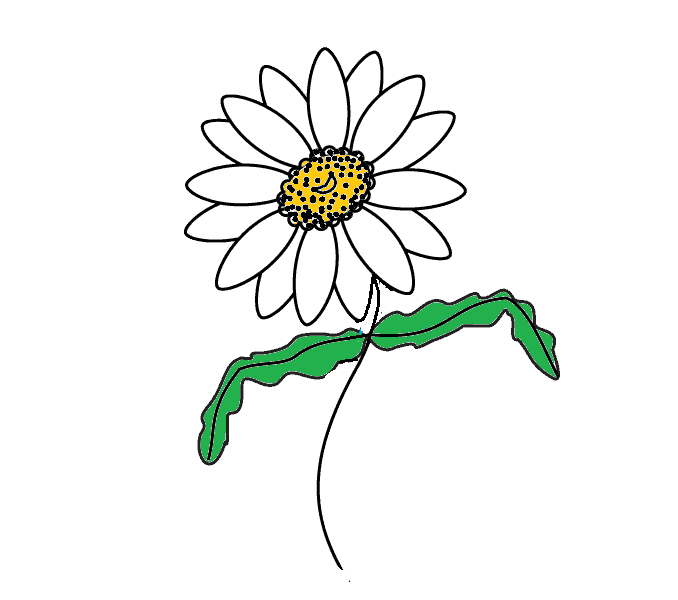Cách vẽ hoa cúc - Dạy Vẽ