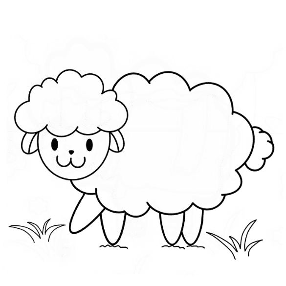 vẽ cừu