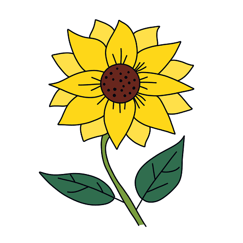 vẽ hoa hướng dương đơn giản