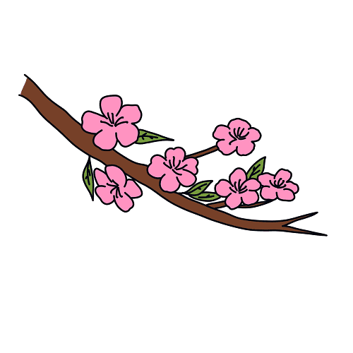 vẽ cây hoa đào