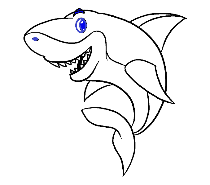 Hướng dẫn phương pháp vẽ cá mập giản dị và đơn giản với 9 bước ai ai cũng tiến hành được
