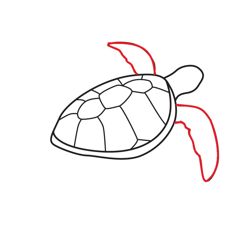 Cách vẽ con rùa - Dạy Vẽ