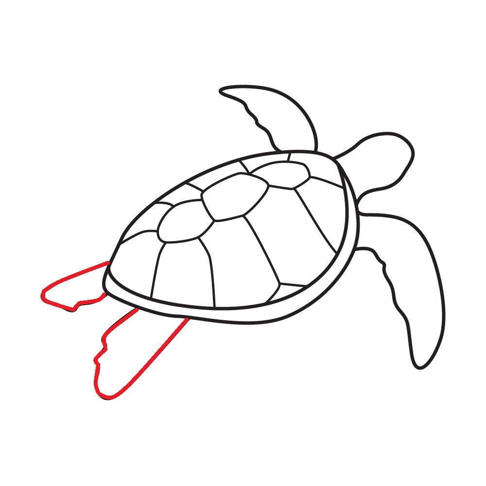 Khám phá với hơn 324 tranh vẽ rùa siêu đỉnh - thtantai2.edu.vn