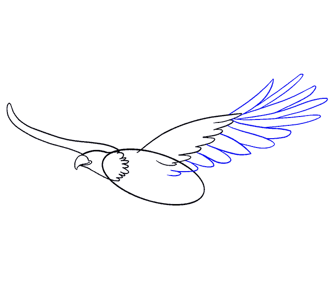 Hình ảnh Vẽ Chim đại Bàng Bay Liên Tục Một Dòng Vector Minh Họa Thiết Kế  Tối Giản PNG  Chim ưng Chim Vectơ PNG và Vector với nền trong suốt để