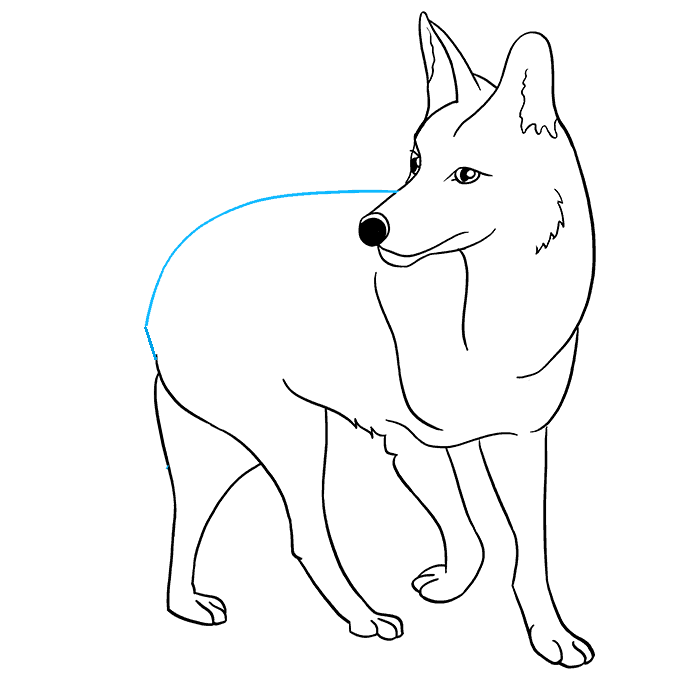 Trang tô màu của một con chó sói