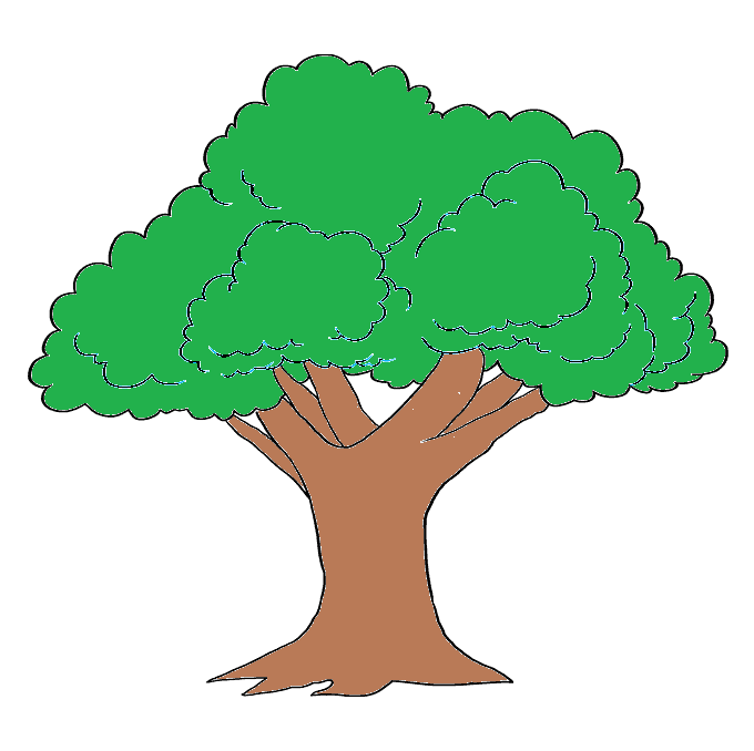 vẽ thân cây đơn giản