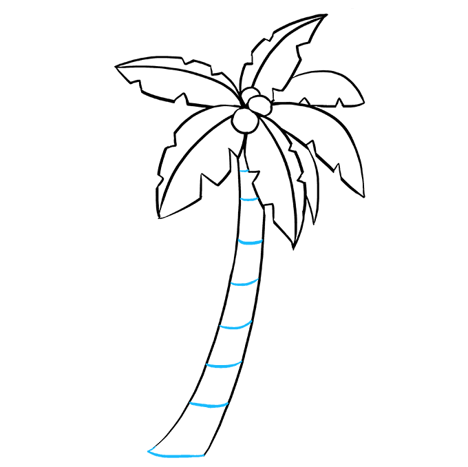 Bạn muốn tìm cách vẽ cây dừa đơn giản nhưng vẫn đẹp mắt? Hãy xem hình ảnh này, bạn sẽ được hướng dẫn chi tiết cách vẽ từng bước một!