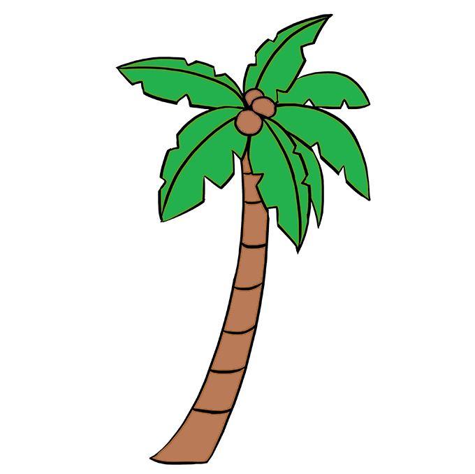 vẽ cây dừa