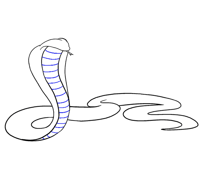 Cách vẽ con rắn: Nếu bạn muốn học cách vẽ con rắn đơn giản và rõ ràng, hãy nhanh tay bấm vào hình này. Bạn sẽ thấy cách vẽ bước từng bước và những lưu ý quan trọng giúp bạn tạo ra một bức tranh đẹp mắt.