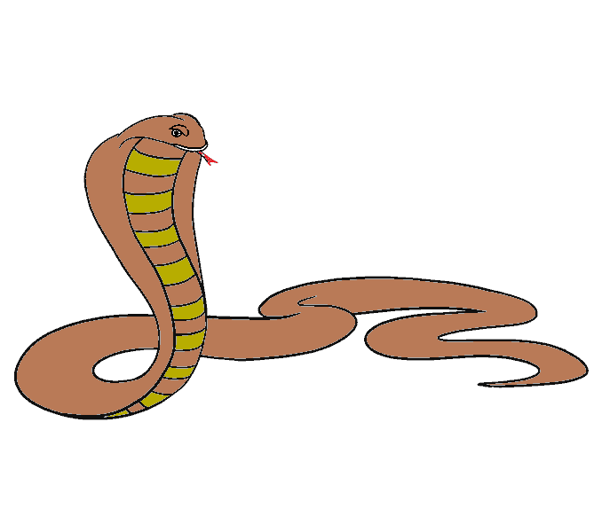 Hướng dẫn cách vẽ con rắn đơn giản với 7 bước cơ bản