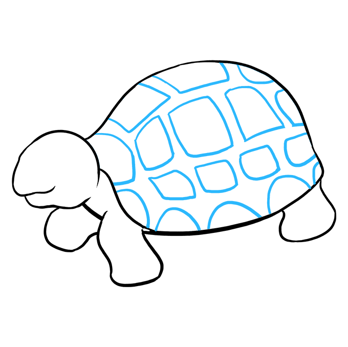 Hình vẽ con rùa là một trong những hình ảnh được yêu thích nhất trong giới nghệ sĩ và trẻ em. Hãy xem hình ảnh liên quan để khám phá các loài rùa đáng yêu và tràn đầy sắc màu.
