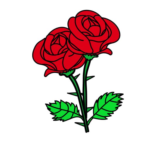 Cách vẽ hoa hồng