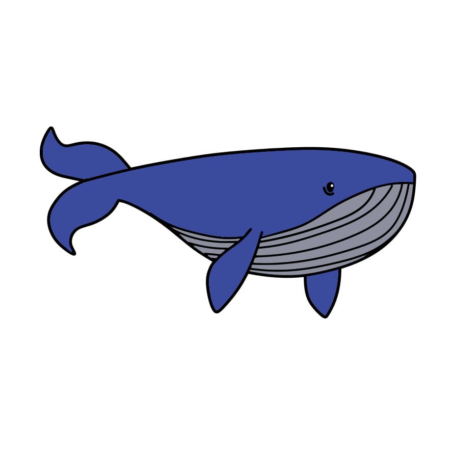 Xem hơn 100 ảnh về hình vẽ cá voi - daotaonec