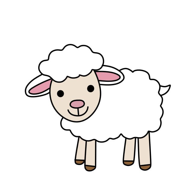 Hình ảnh con cừu những câu đó vui atpsoftware.vn