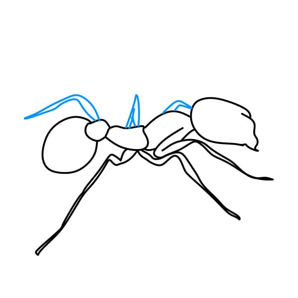 Cách vẽ tranh và tô màu HÌNH CON KIẾN  Step by step How to Draw an Ant   YouTube