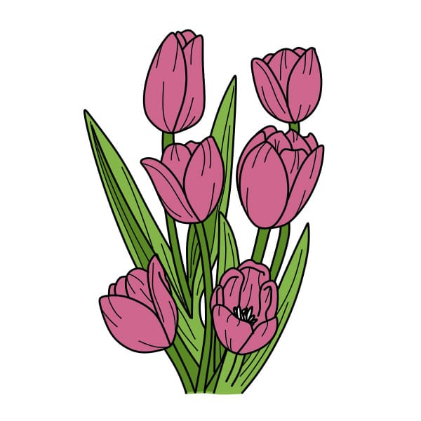 Bó Hoa Tulip Tuyệt Đẹp Thiết Kế Khái Niệm Nghệ Thuật Dòng Vẽ Đường Thẳng  Liên Tục Hoa Hồng Cách Điệu Phác Thảo Vẽ Tay Minh Họa Vector Biểu Tượng Mùa  Xuân