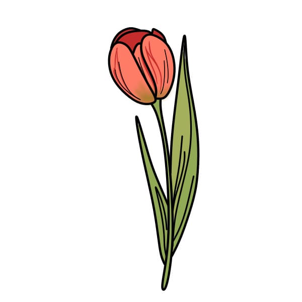 Ve-hoa-tulip-buoc-5-5