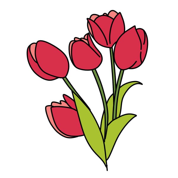Ve-hoa-tulip-buoc-6-2