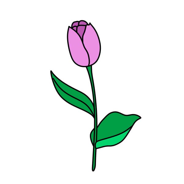 Ve-hoa-tulip-buoc-6-4