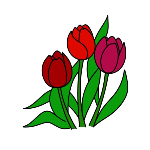 Ve-hoa-tulip-buoc-7-1