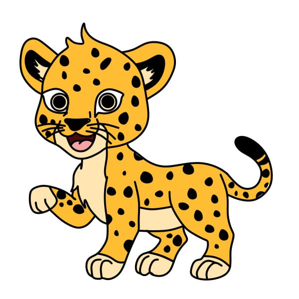 Cách vẽ con Báo Cheetah