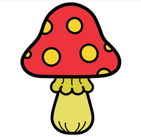 Mushroom-5-6