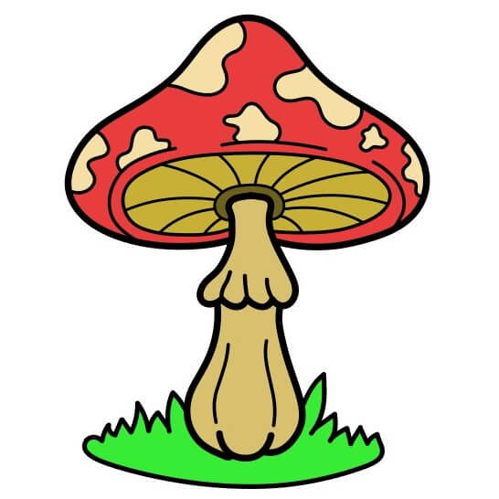 Mushroom-7-9