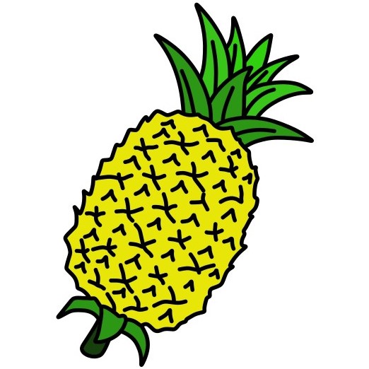 Pineapple-5-5