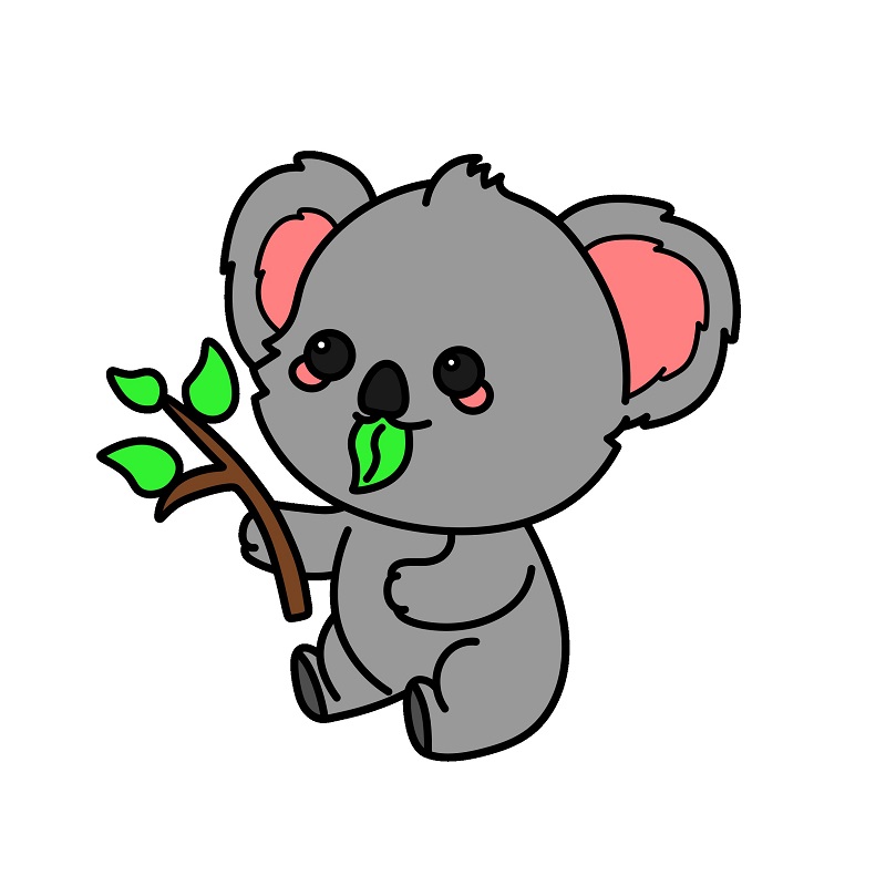 Koala-6-11