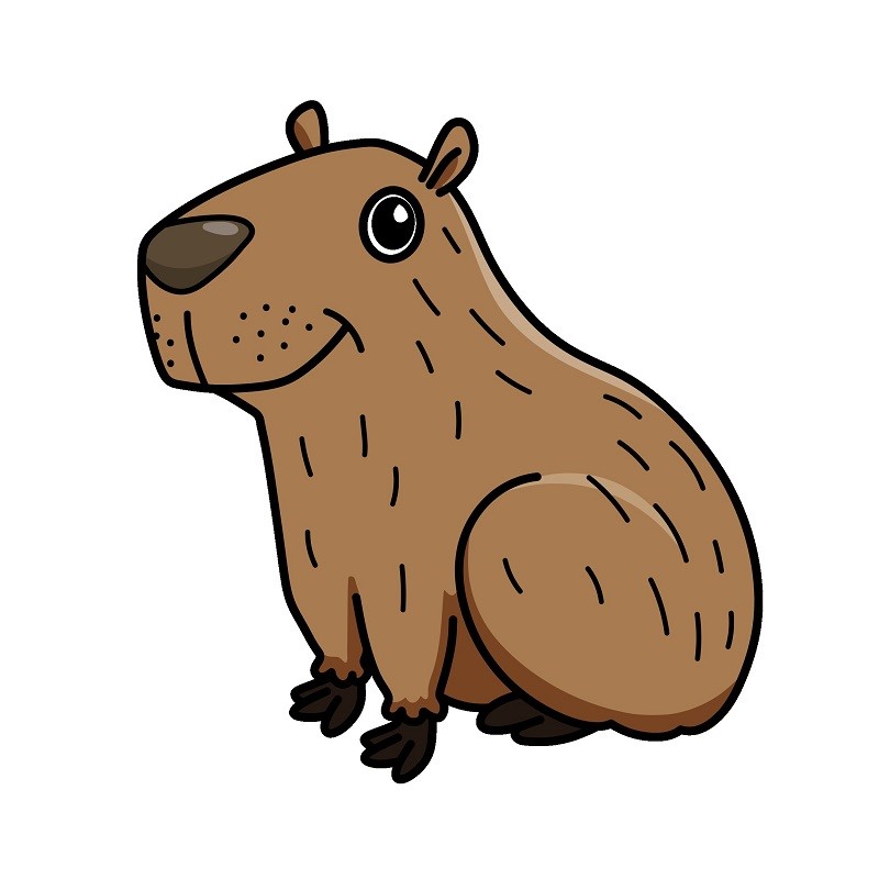 Cách vẽ Capybara