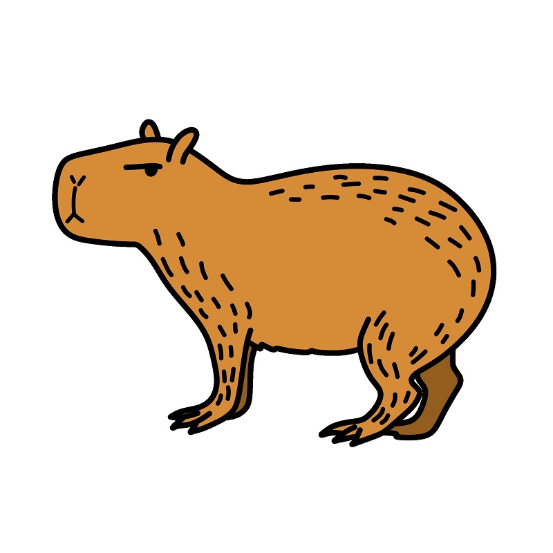 Capybara 4 (7)