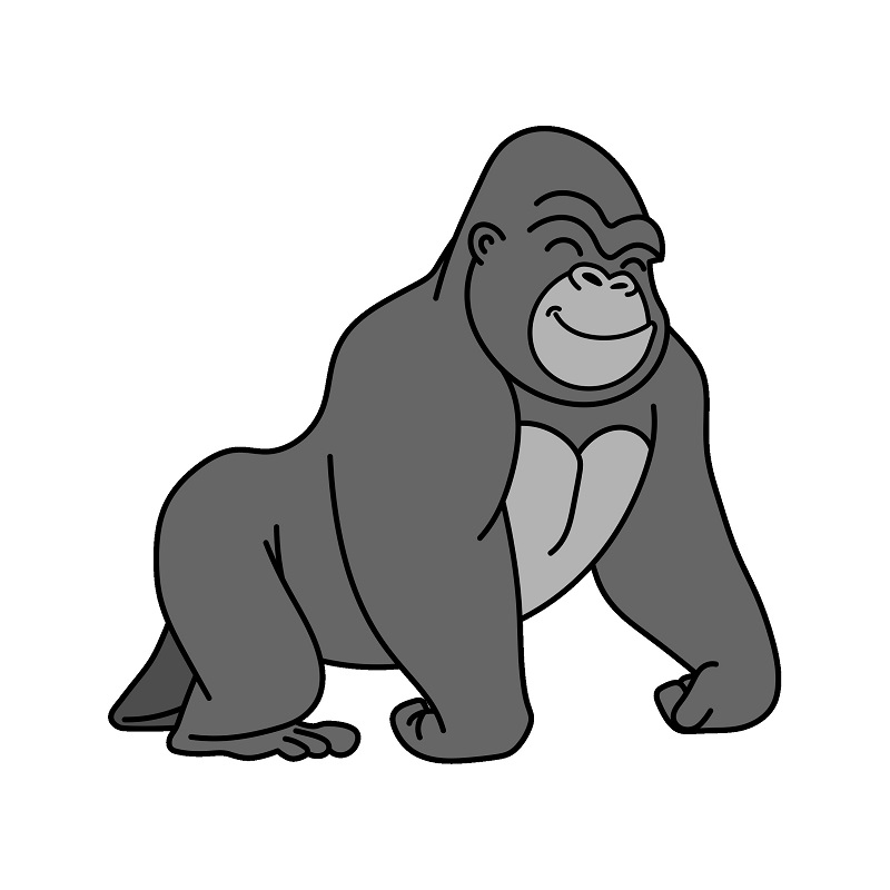 Gorilla-2-9