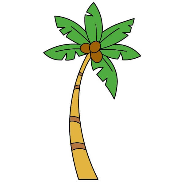 Cách vẽ Cây dừa