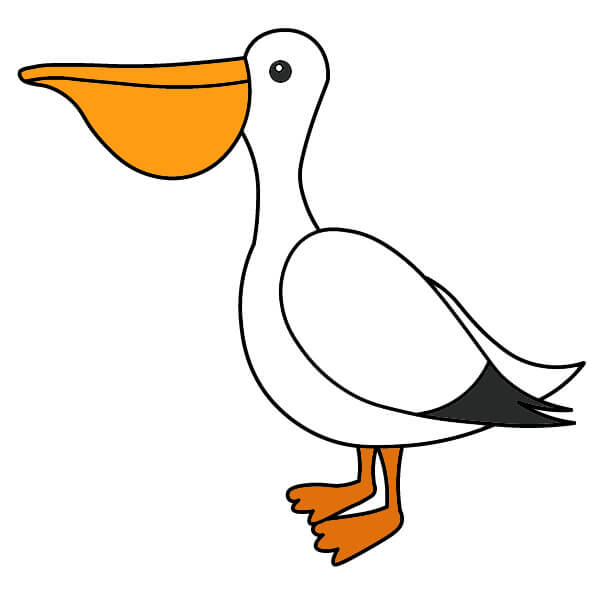 Cách vẽ Chim bồ nông