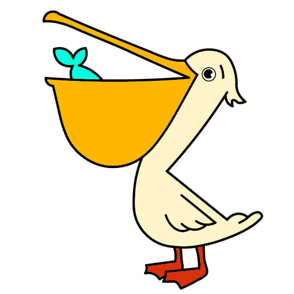 Chim bồ nông 2-10