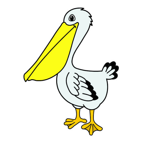 Chim bồ nông 6-10