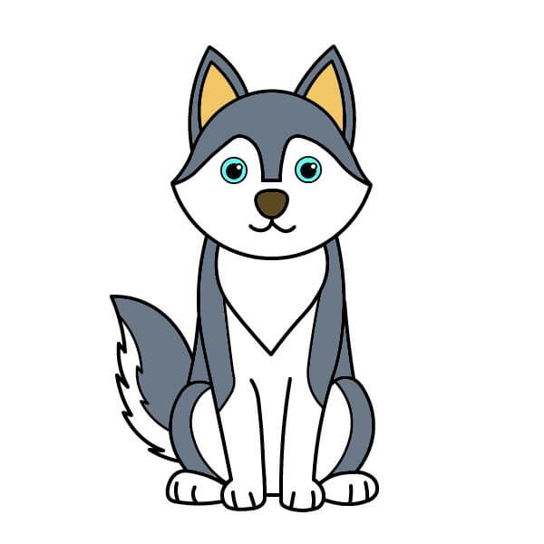 Husky 3-11