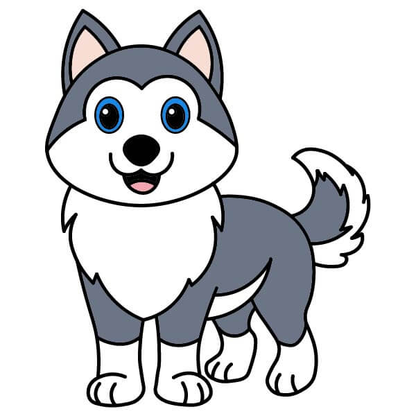 Husky 5-13