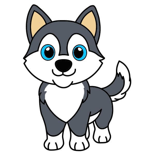 Husky 6-13